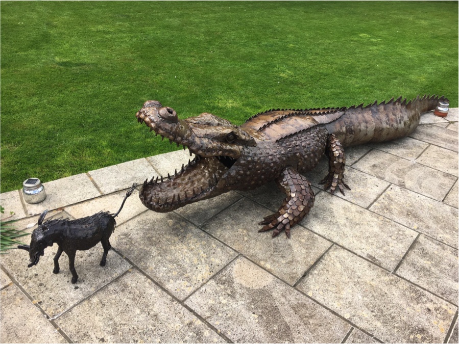 CrocGarden treated