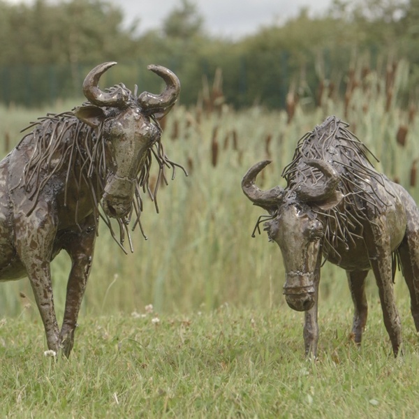 AfricanAnimalsWildebeest