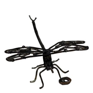 Dragonfly 15cm 1