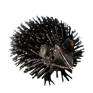 Hedgehog LRG