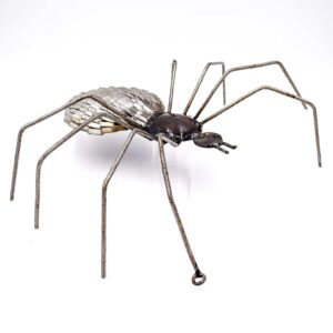 Large spider