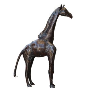 MiniatureGiraffe1ftZim
