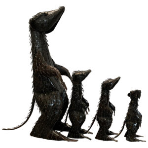 Meerkats XL cm