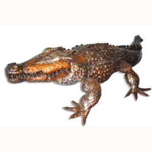 Large Crocodile