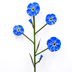 Forget me Nots website