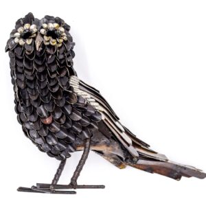 Owl cm