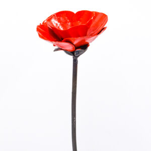 Red Poppy Stem website