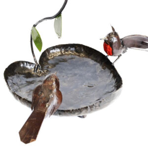 Robin Birdbath