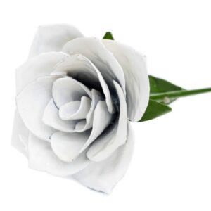 Rose White
