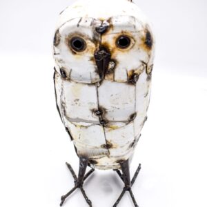 Small Barn Owl