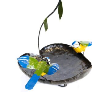 blue tit birdbath